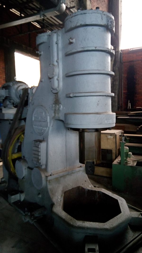 Ariete Pensotti 300 Kg - immagine 3