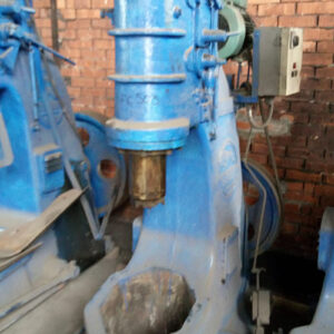 Ariete Pensotti 50 kg