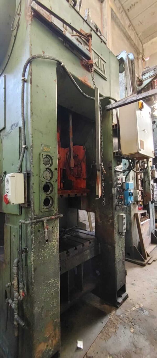 Raskin 250 ton - immagine 2