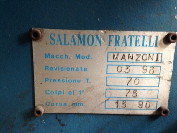 Manzoni 70 ton - immagine 3